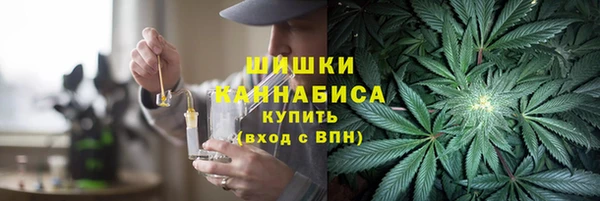 ГАЛЛЮЦИНОГЕННЫЕ ГРИБЫ Алзамай