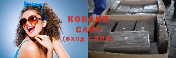 ешки Алексин