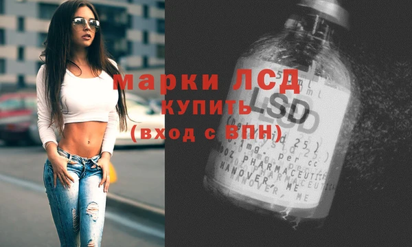 ГАЛЛЮЦИНОГЕННЫЕ ГРИБЫ Алзамай